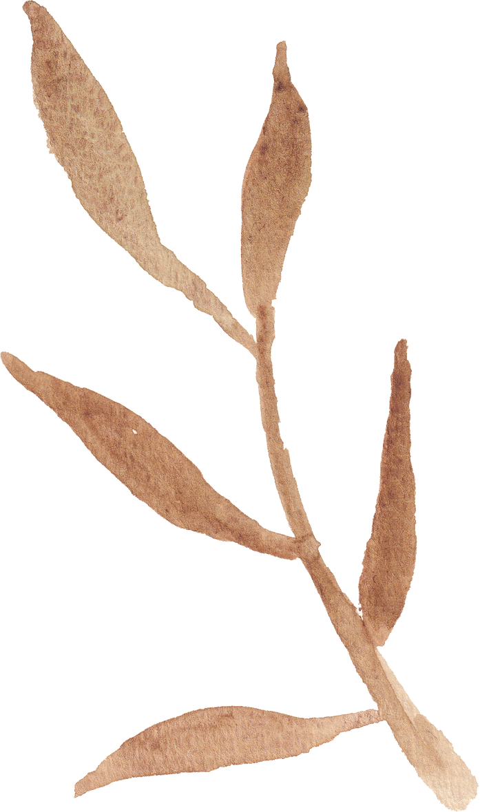 Brown Branch with Leaves