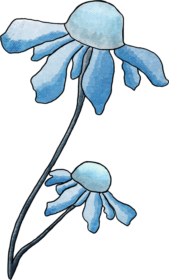 Blue Flower Watercolor