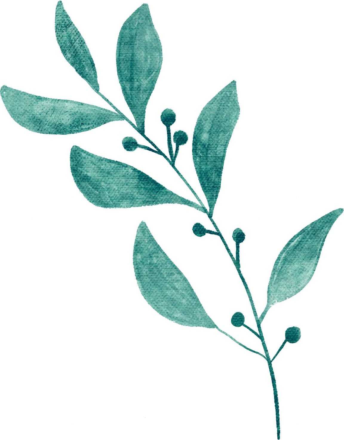 Plant Turquoise